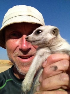 Primary Geography Desert Meerkat Active Outdoor Discovery
