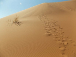 Desert Namib Namibia Africa Active Outdoor Discovery Primary Geography Resources KS1 KS2